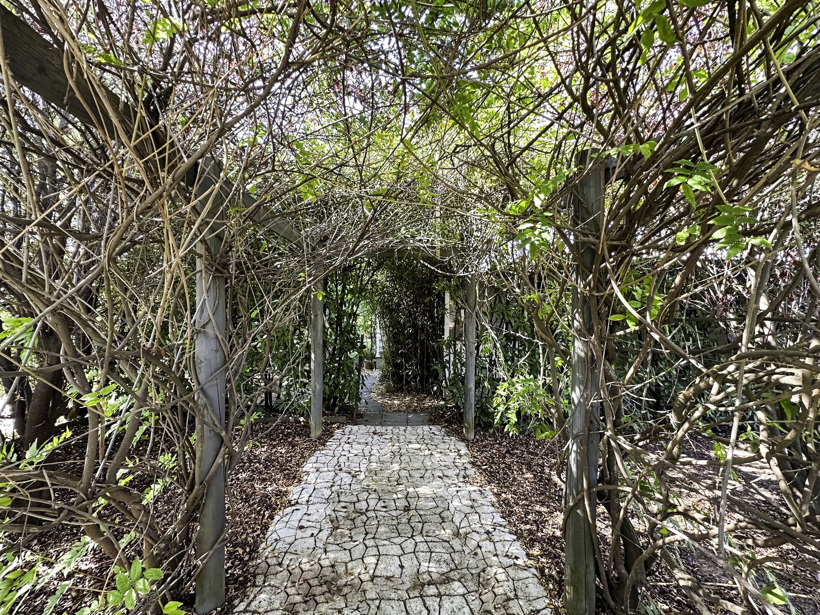 110 Albury Street TUMBARUMBA 12