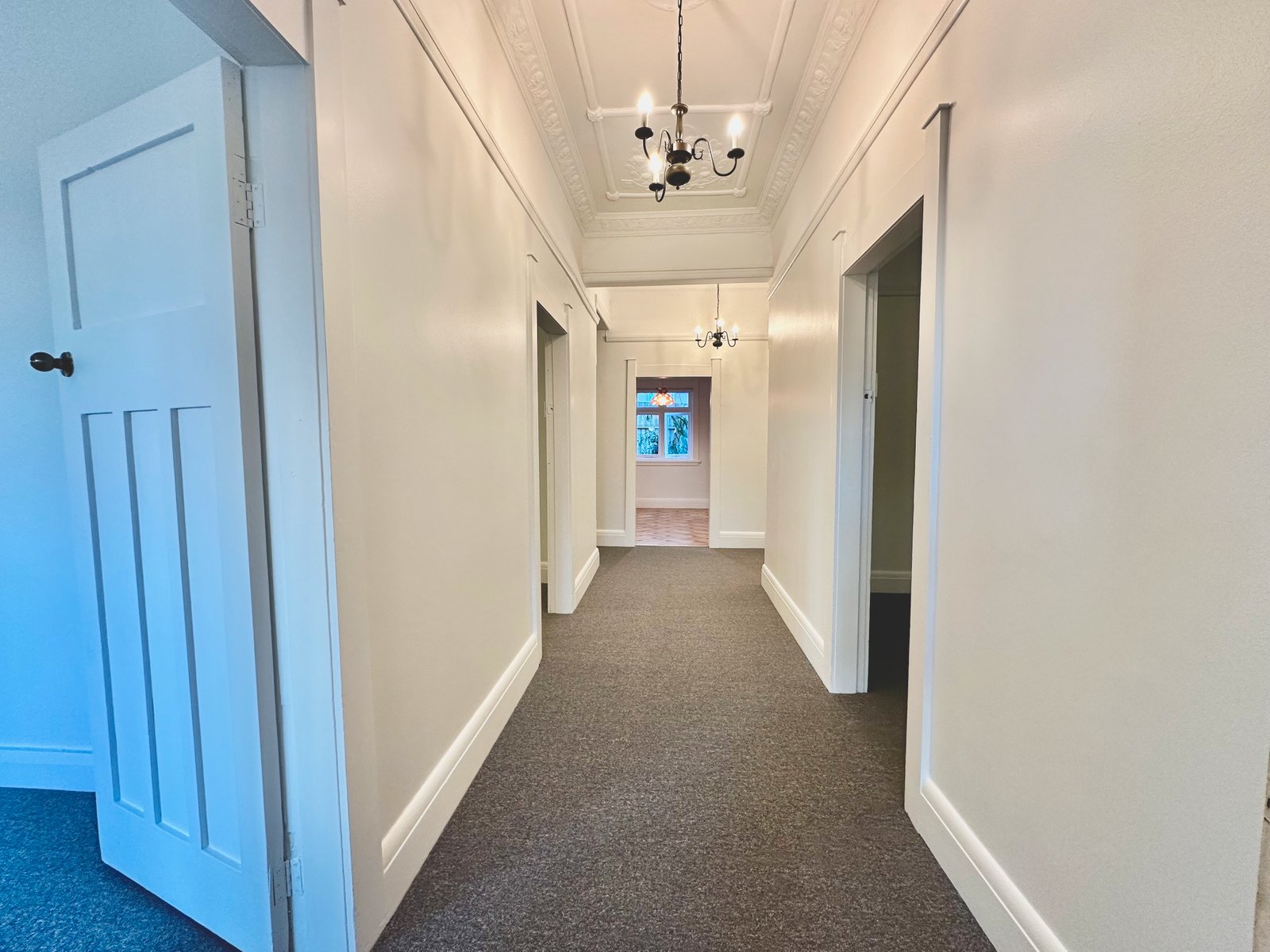 110 Alison Road RANDWICK 12