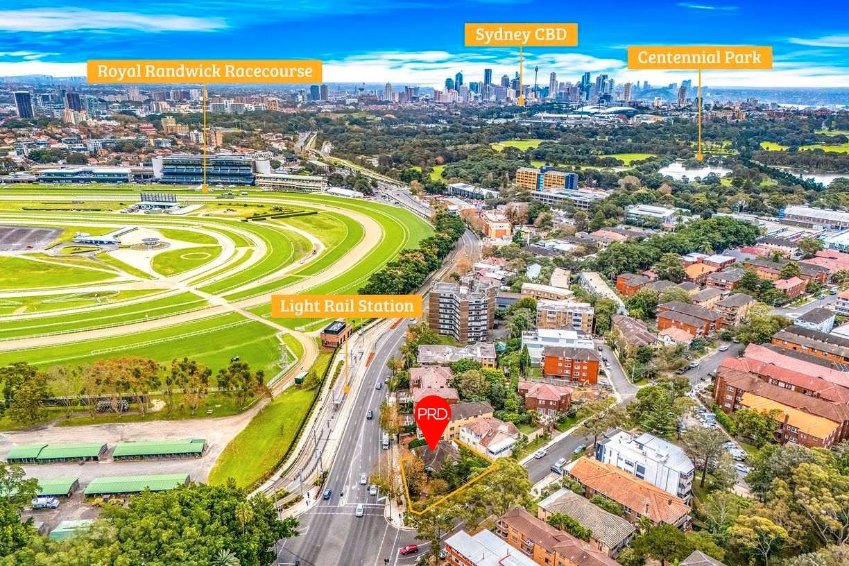 110 Alison Road RANDWICK 13