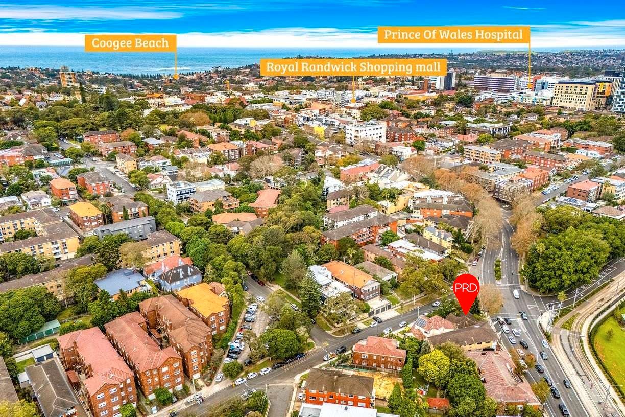 110 Alison Road RANDWICK 14