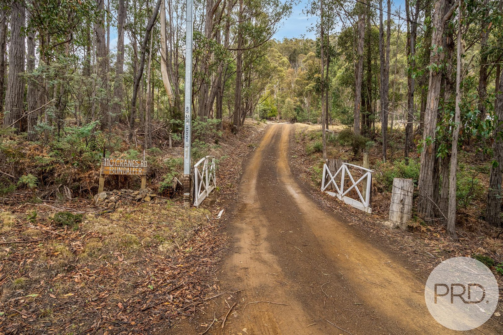 110 Cranes Road DROMEDARY 2