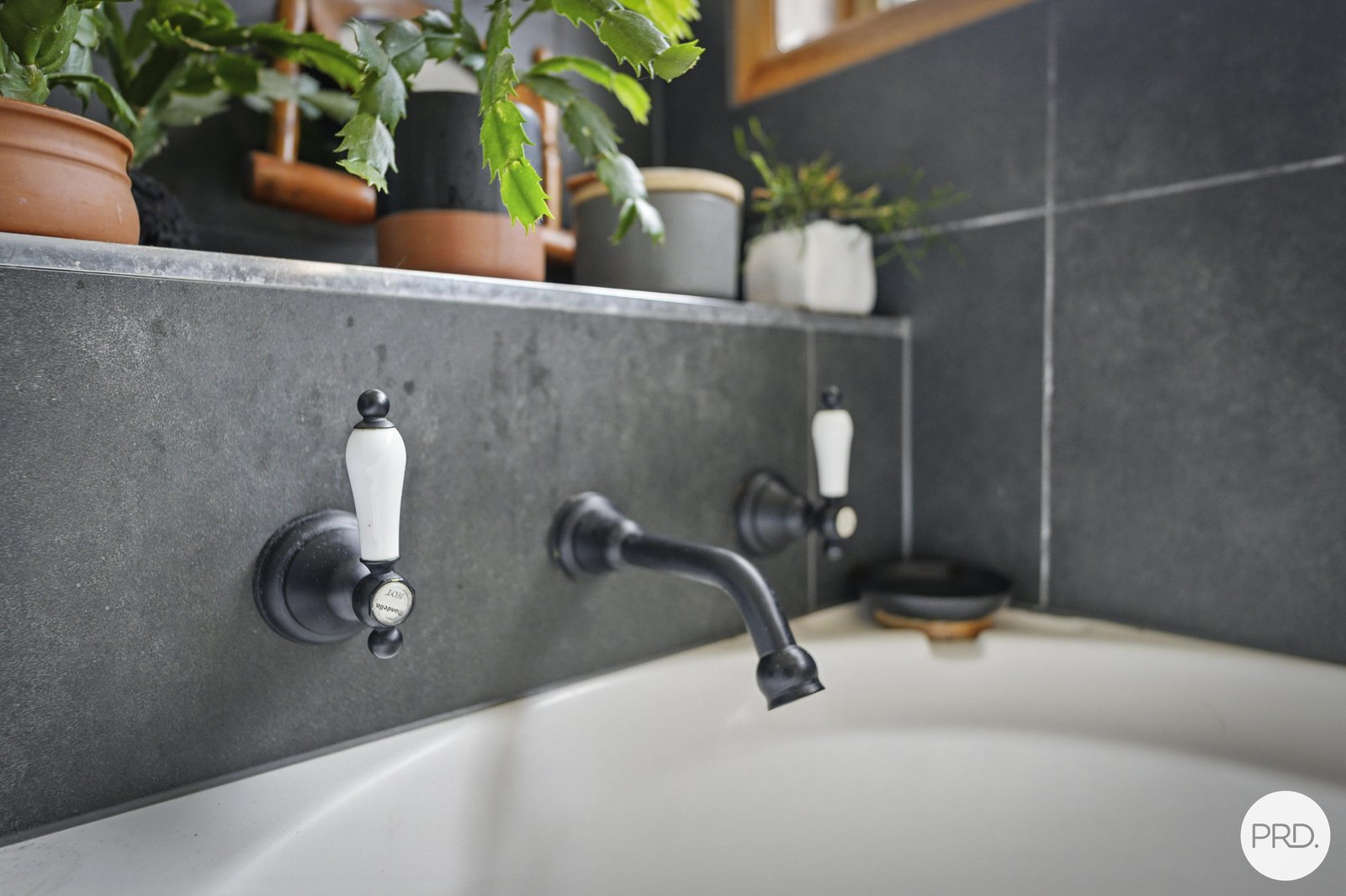 110 Cranes Road DROMEDARY 19