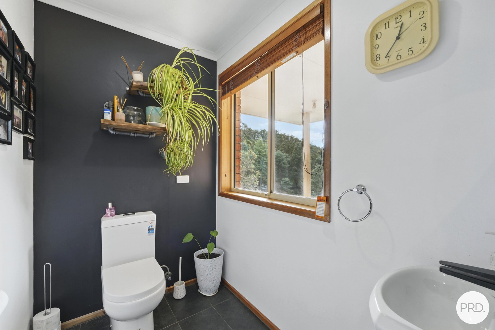 110 Cranes Road DROMEDARY 24