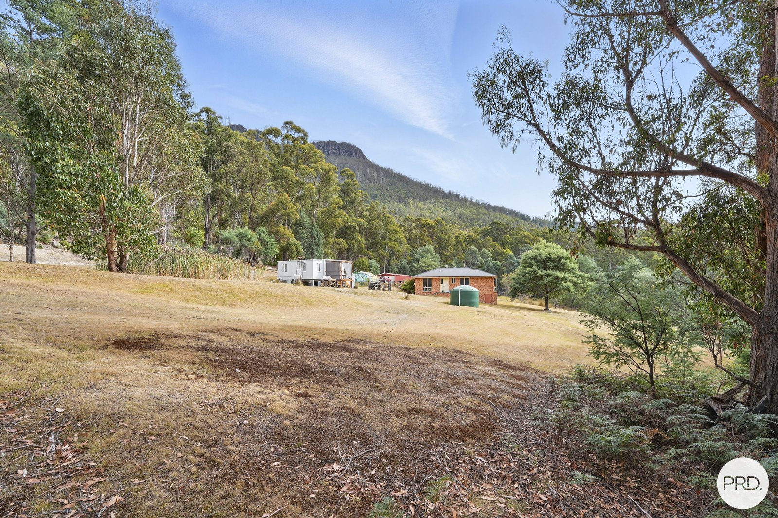 110 Cranes Road DROMEDARY 30