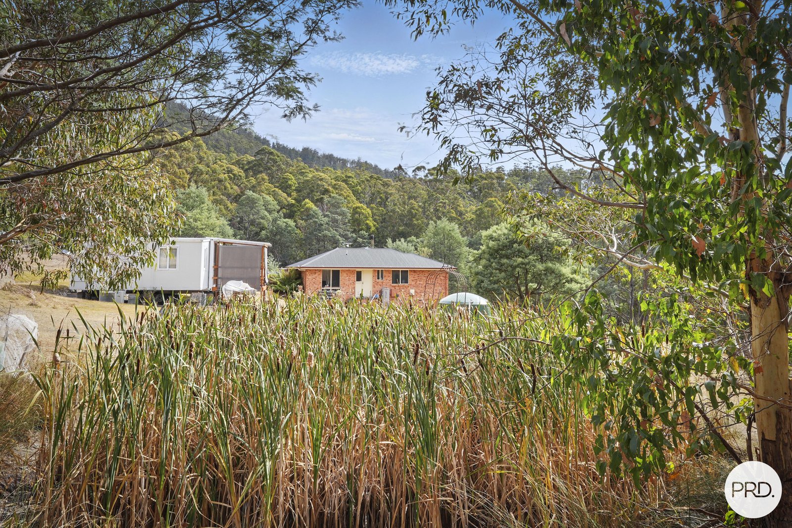 110 Cranes Road DROMEDARY 31