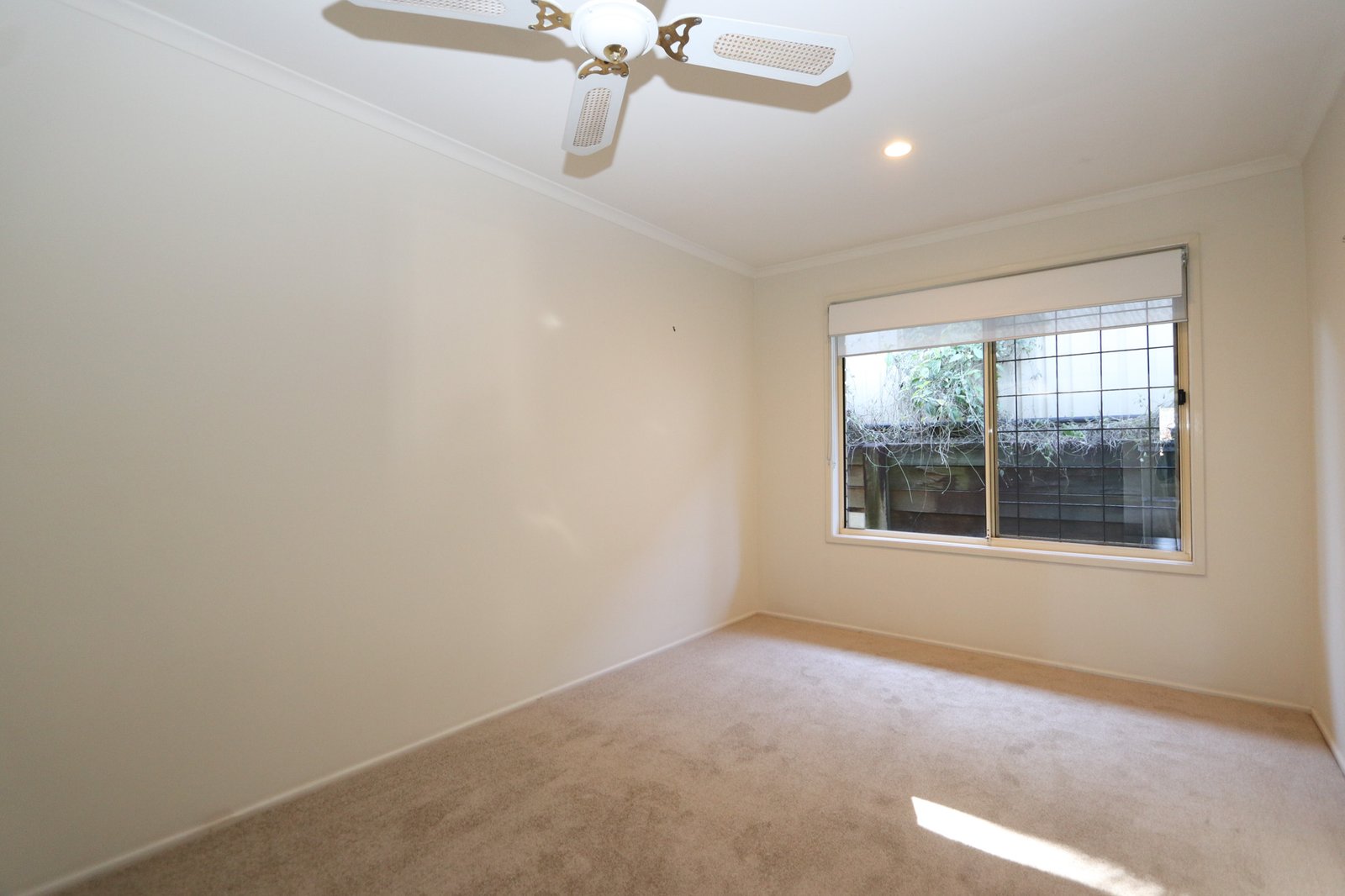 110 Macquarie Avenue MOLENDINAR 16