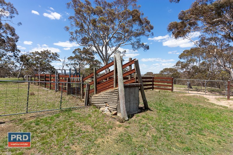 110 Malua Lane MOUNT FAIRY 16