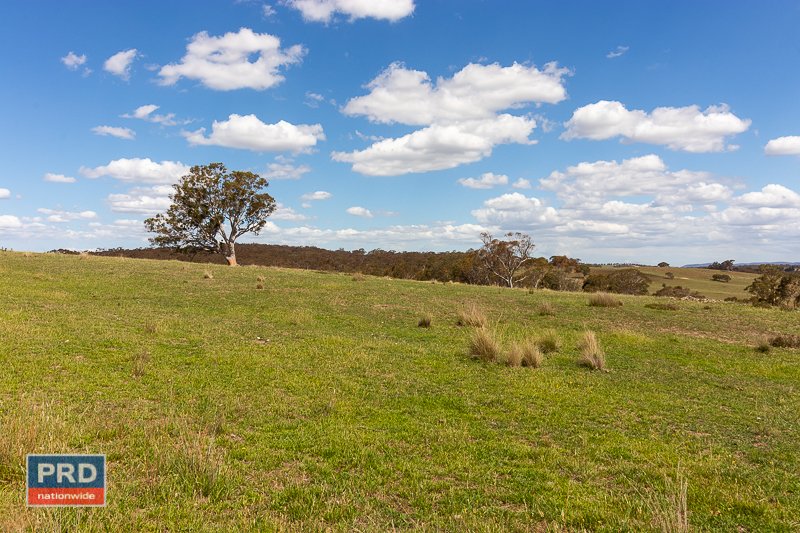 110 Malua Lane MOUNT FAIRY 17