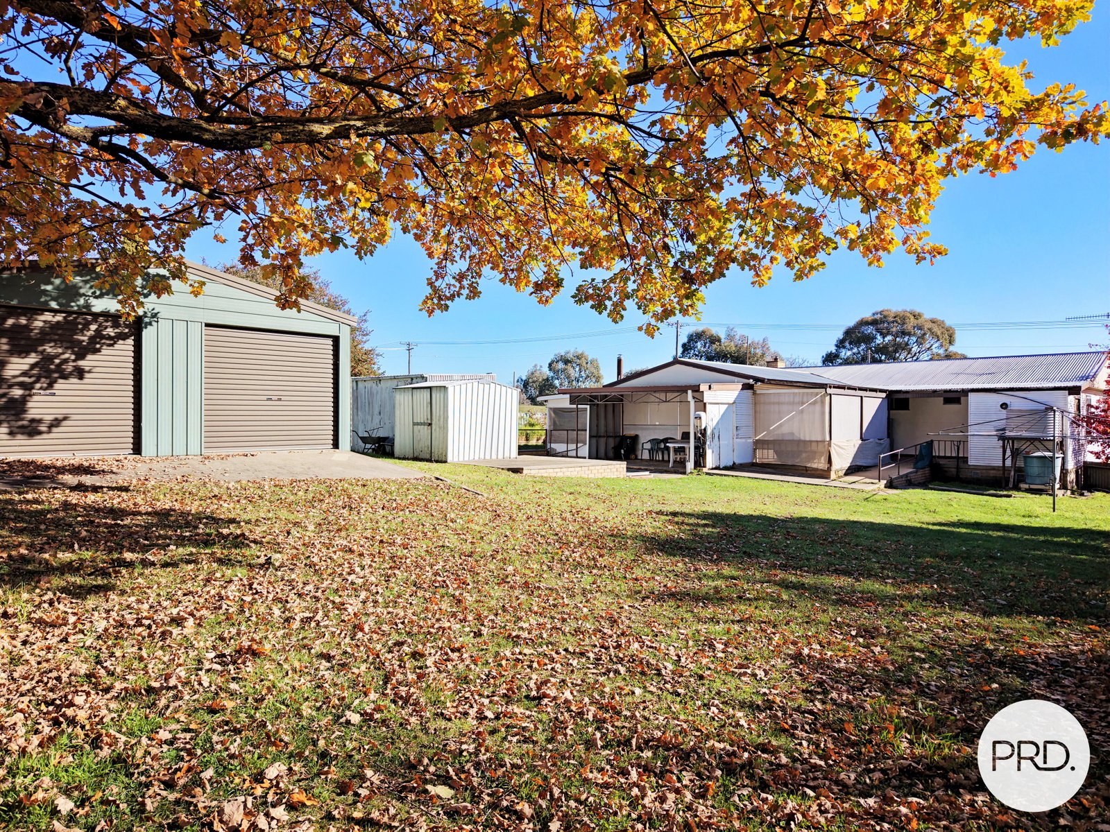 110 Murray Street TUMBARUMBA 19