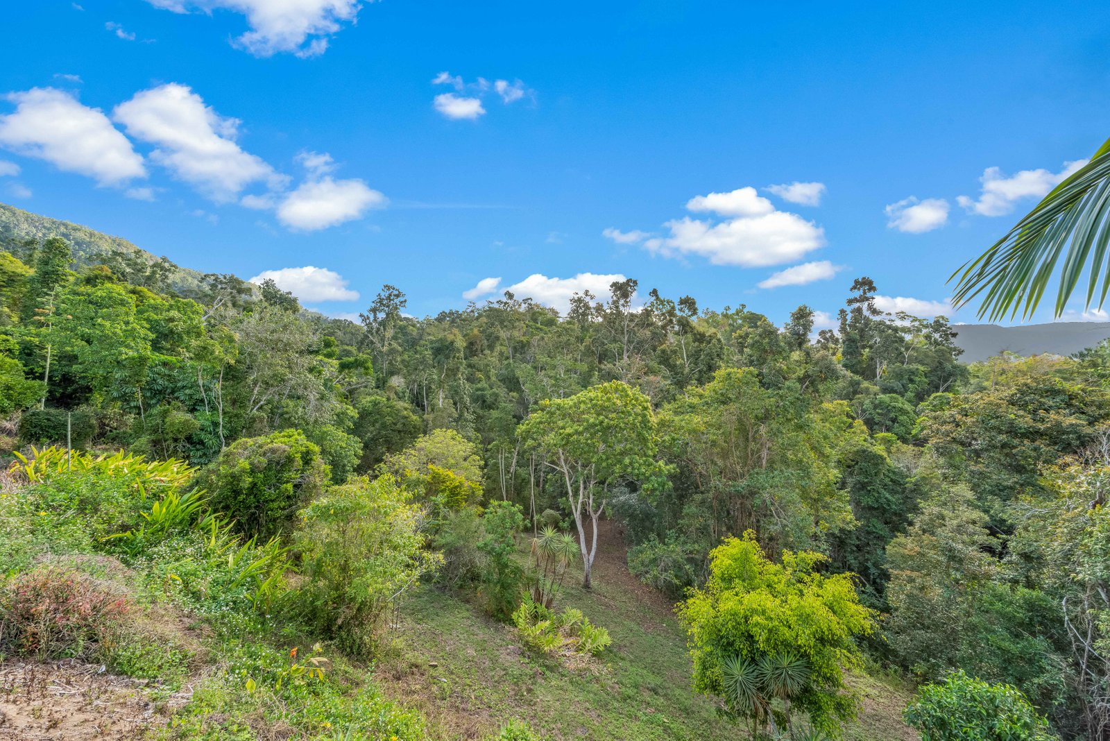 110 Orchid Road CANNON VALLEY 14