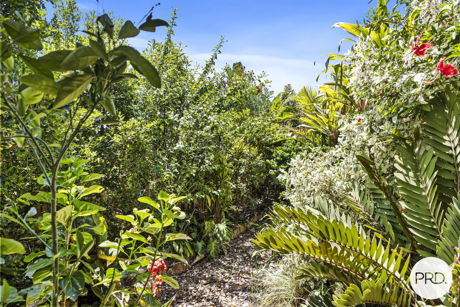 110 Owens Street MARBURG 20