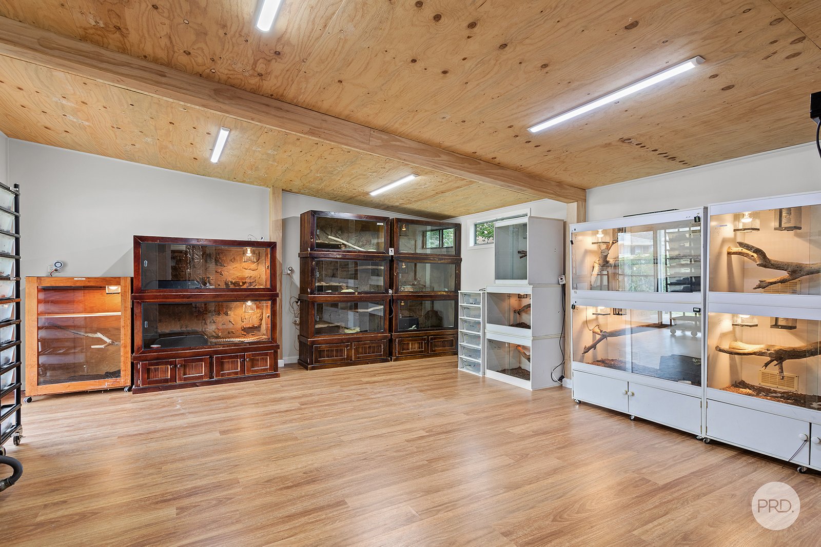 110 Rigney Street SHOAL BAY 19