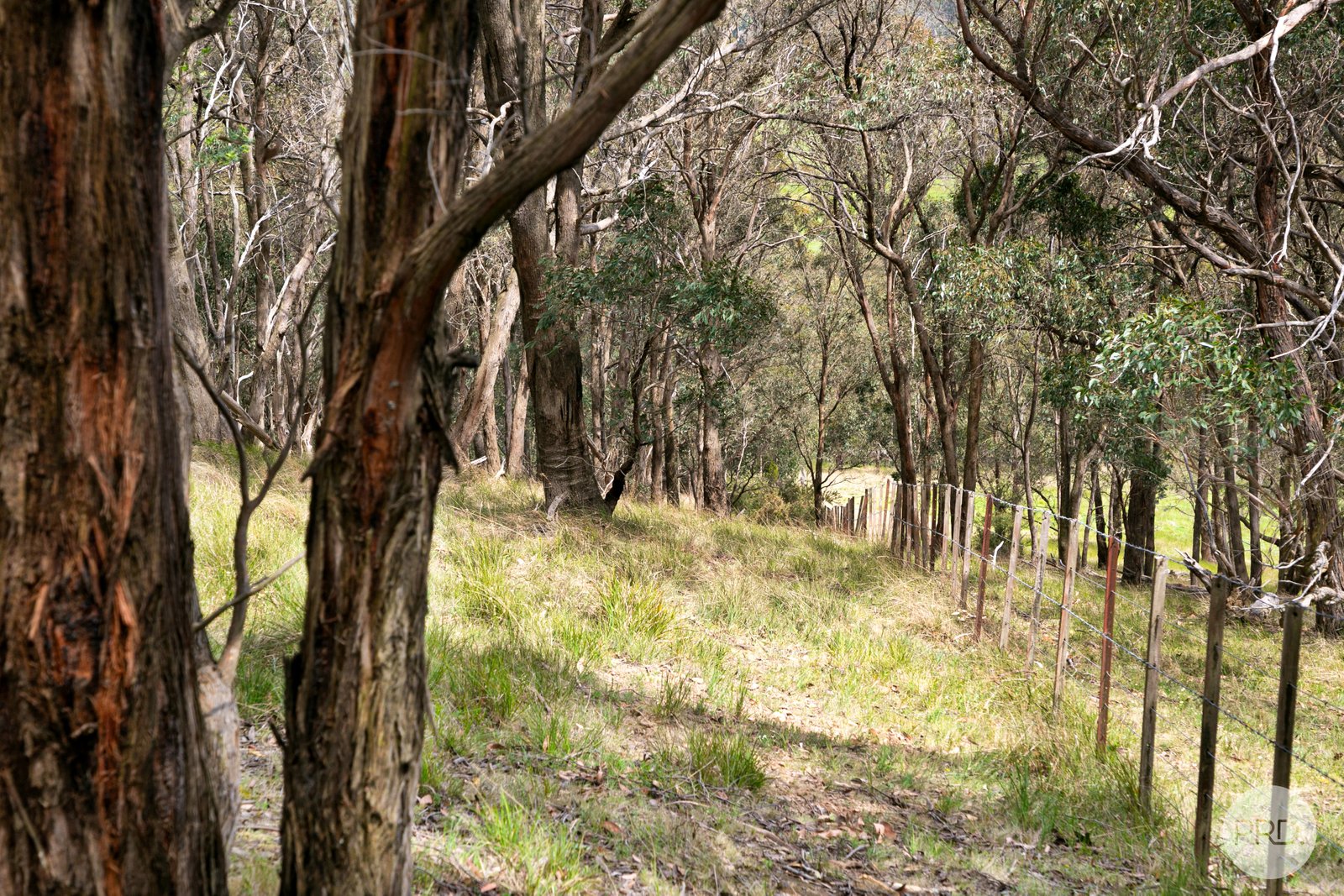 110 Sharrocks Road MOUNT EGERTON 14