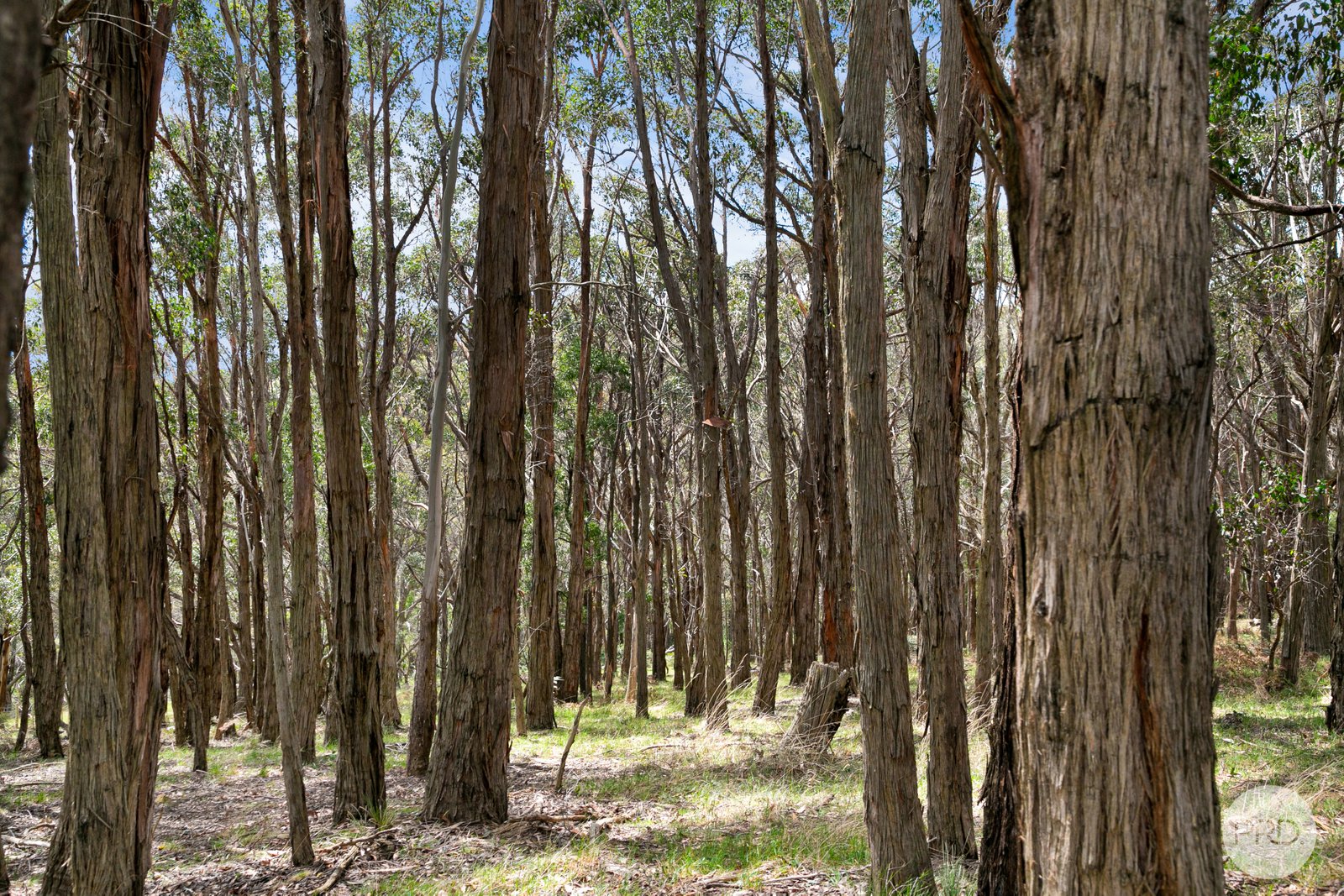 110 Sharrocks Road MOUNT EGERTON 15