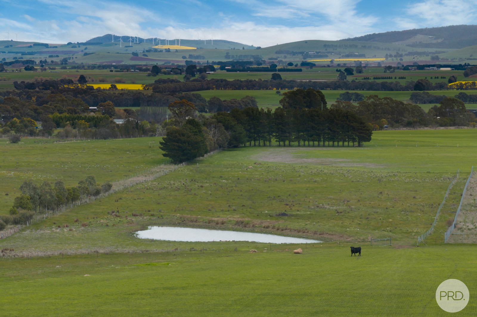 110 Wrigleys Road CRESWICK NORTH 8