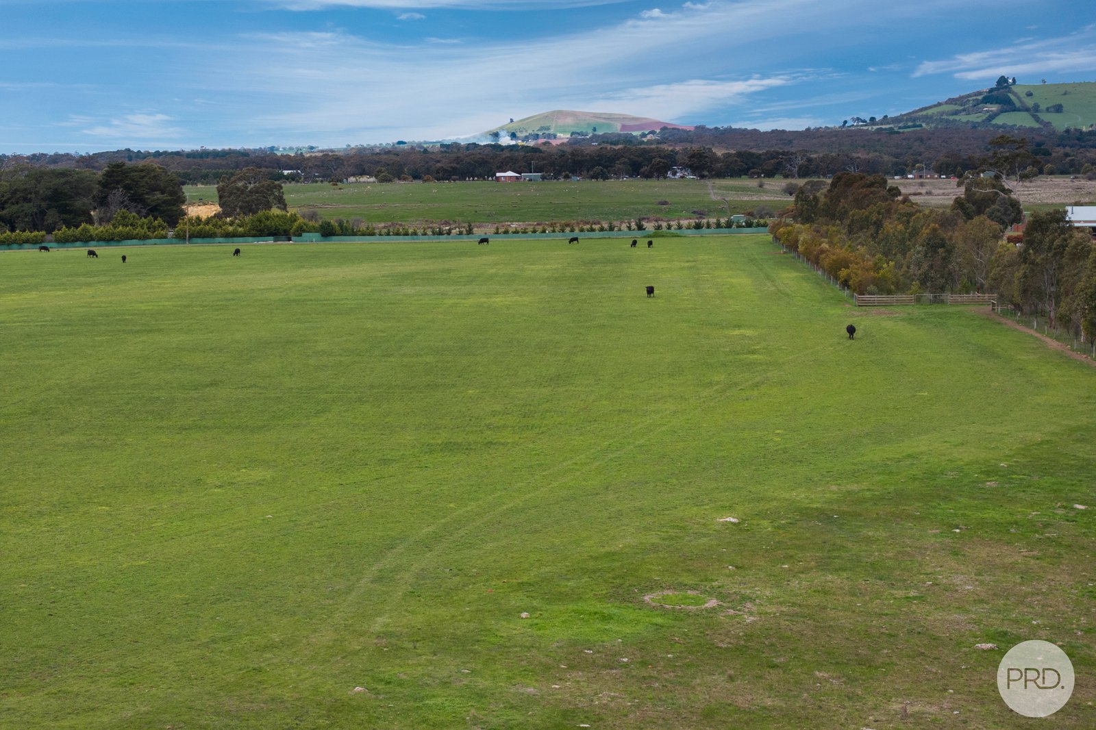 110 Wrigleys Road CRESWICK NORTH 11