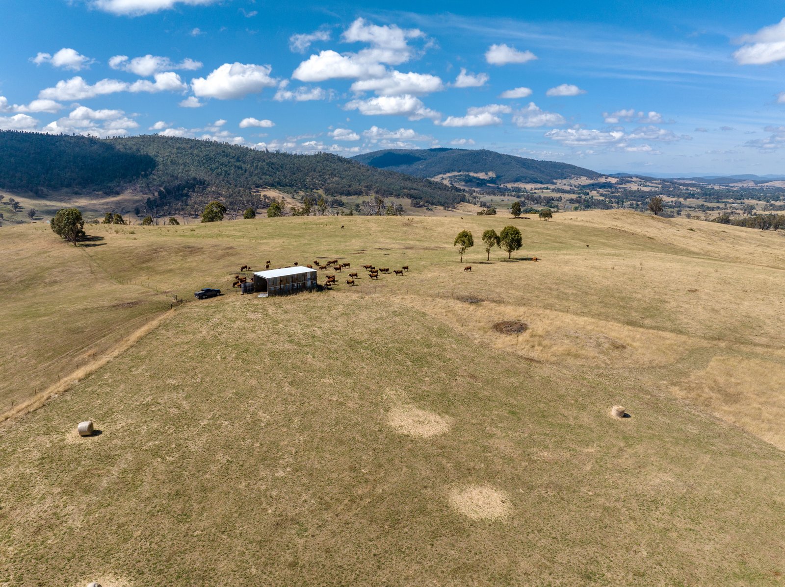 1100 Batlow Road TUMBARUMBA 2