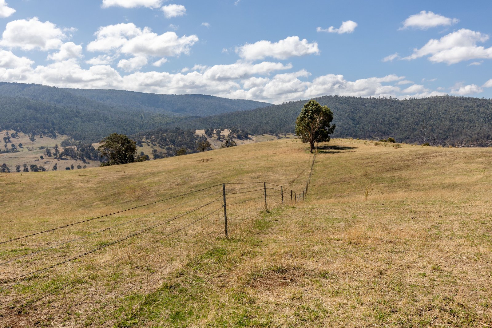 1100 Batlow Road TUMBARUMBA 7