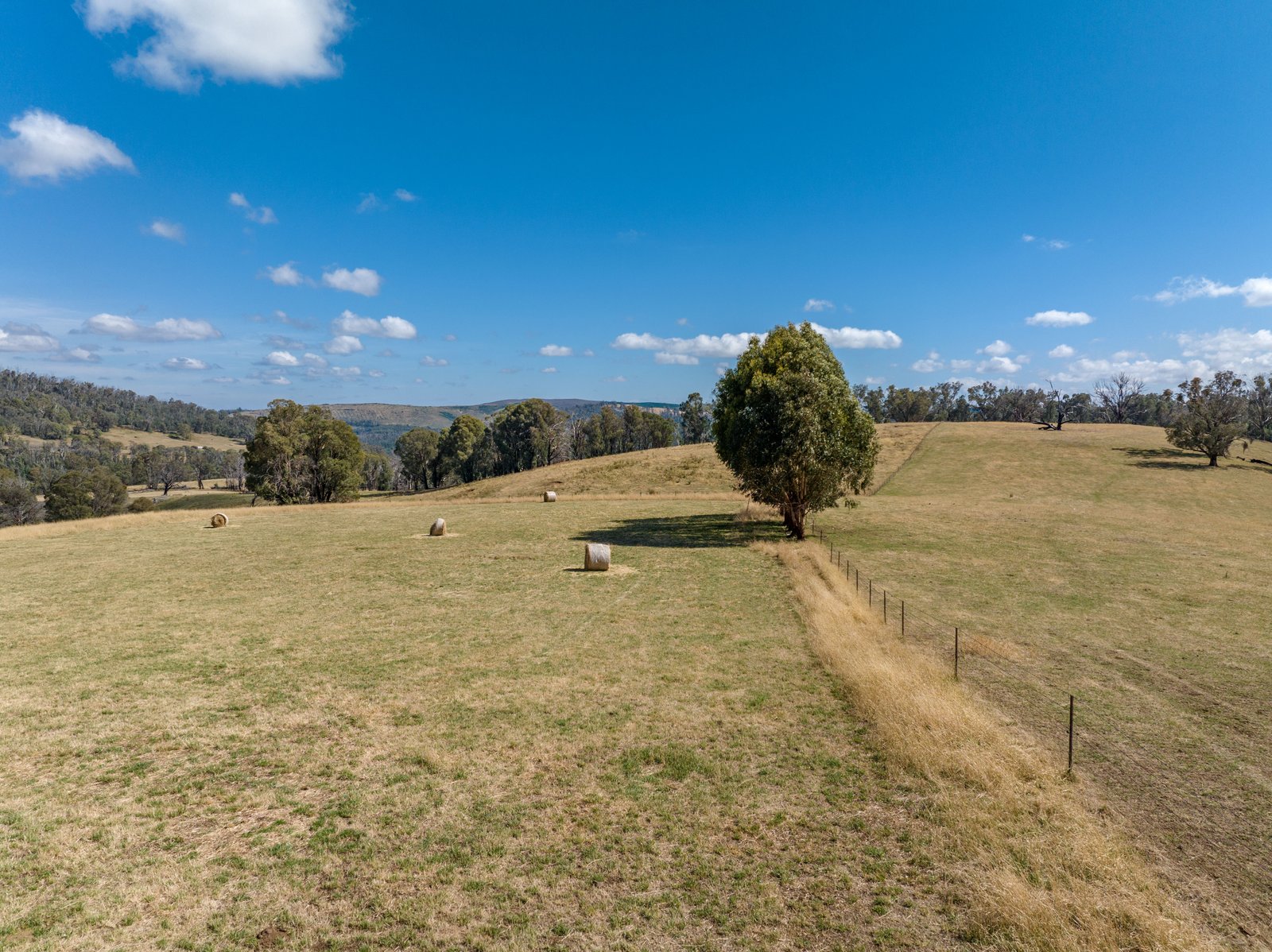 1100 Batlow Road TUMBARUMBA 10