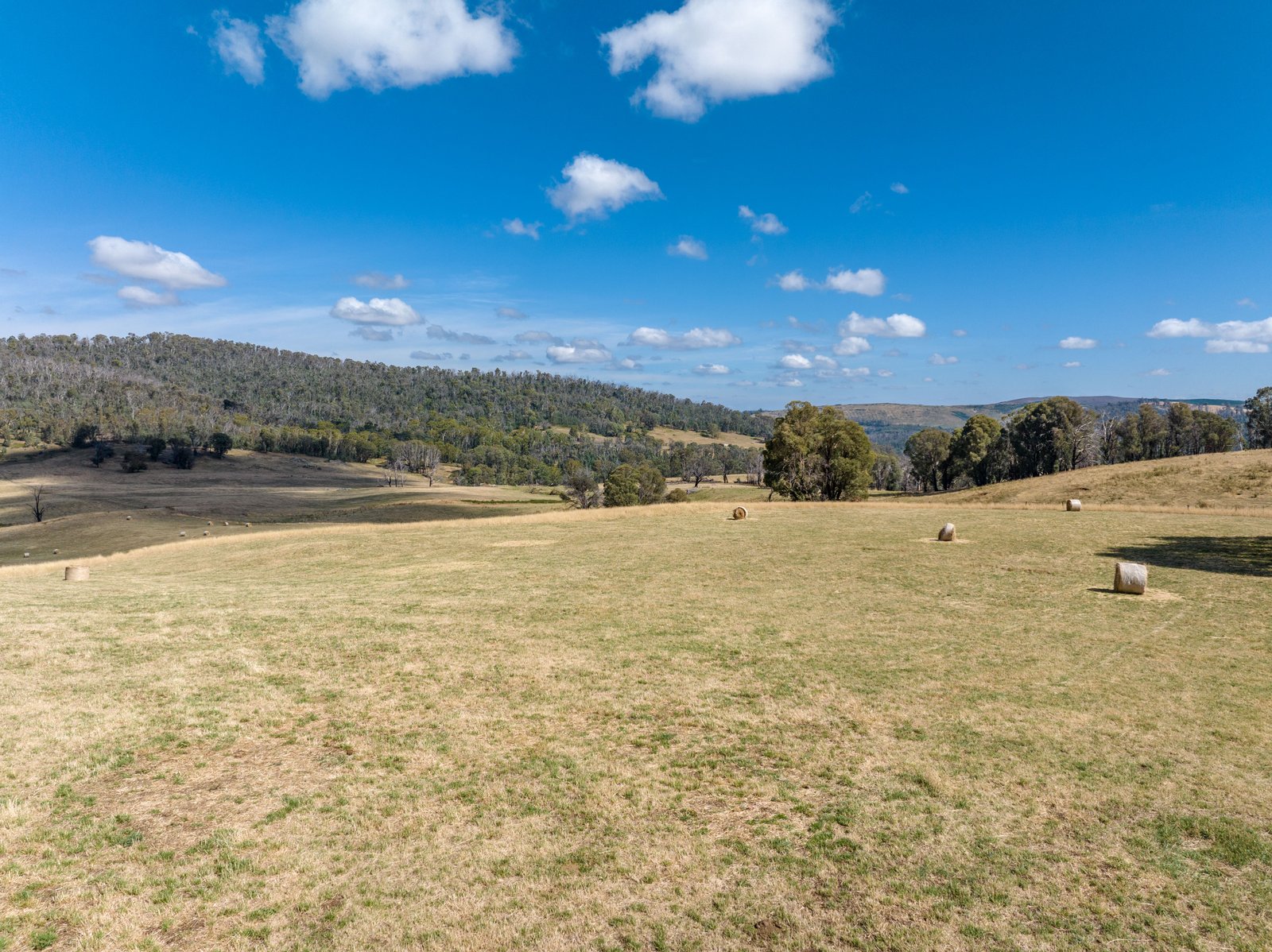 1100 Batlow Road TUMBARUMBA 11
