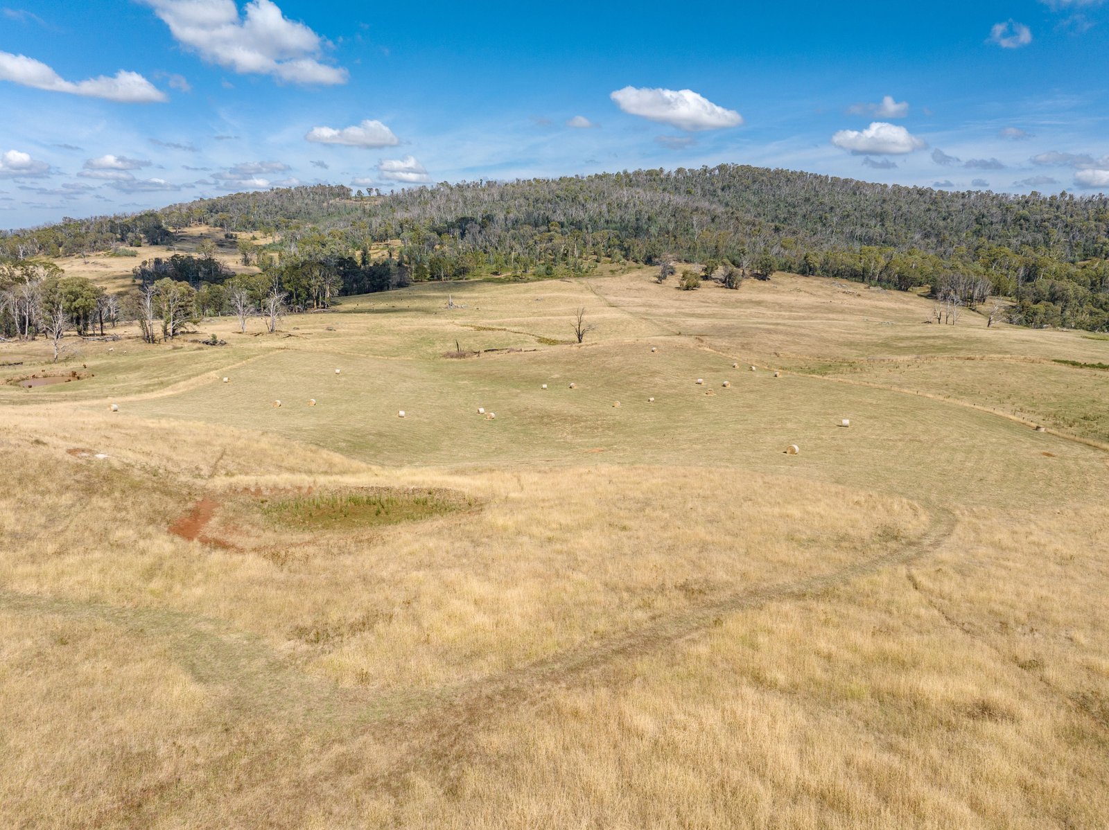 1100 Batlow Road TUMBARUMBA 12
