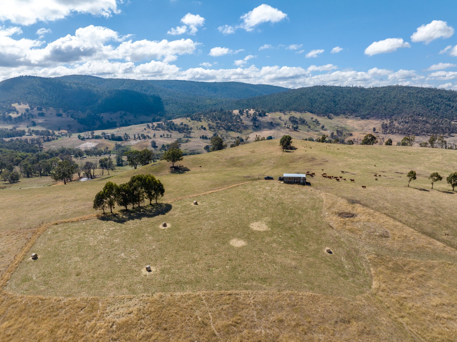 1100 Batlow Road TUMBARUMBA 13