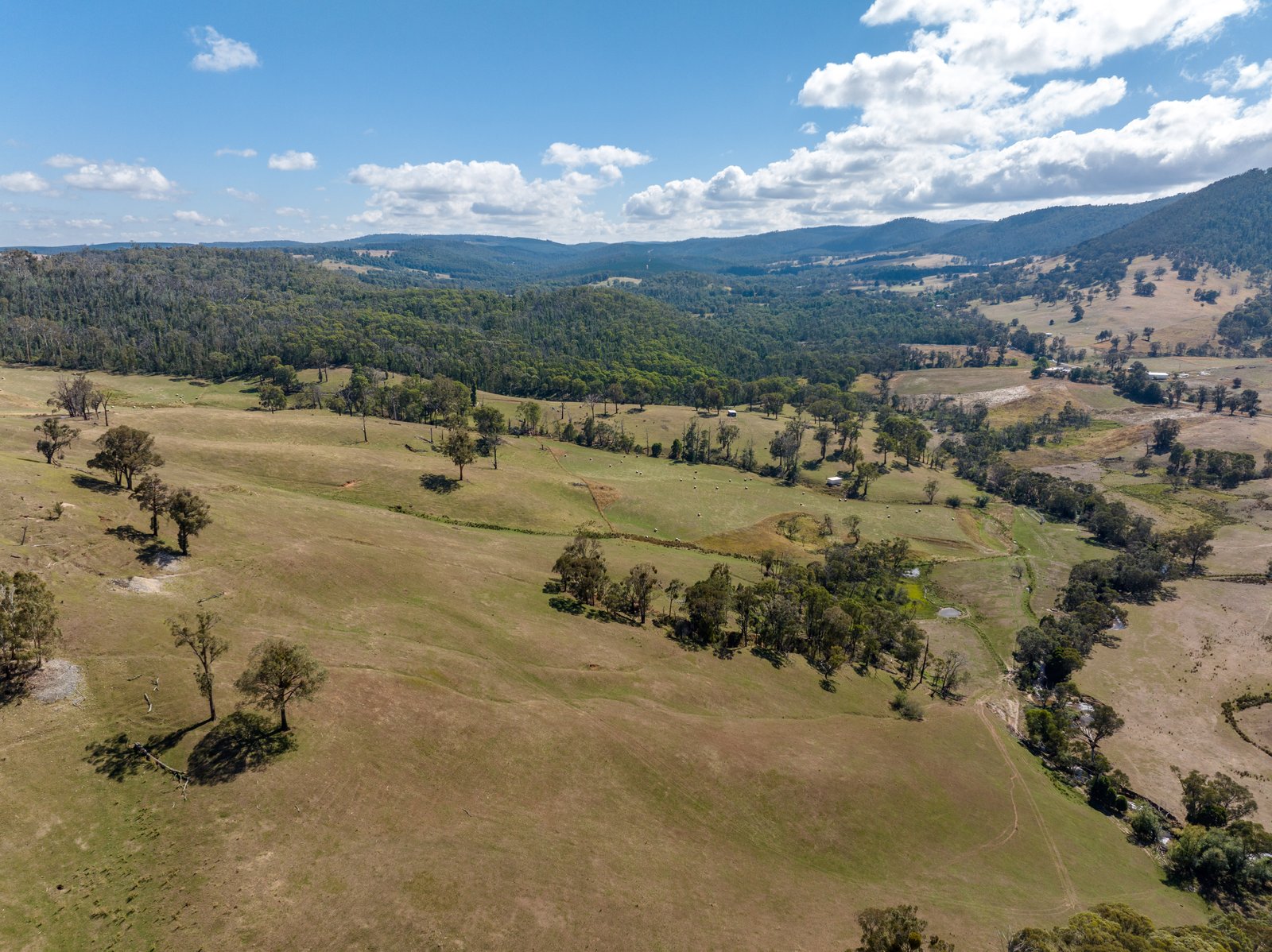 1100 Batlow Road TUMBARUMBA 19