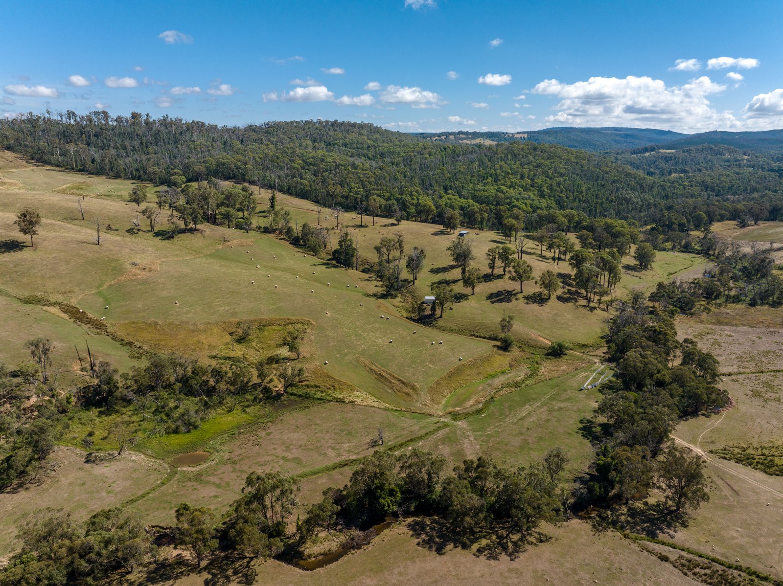 1100 Batlow Road TUMBARUMBA 21