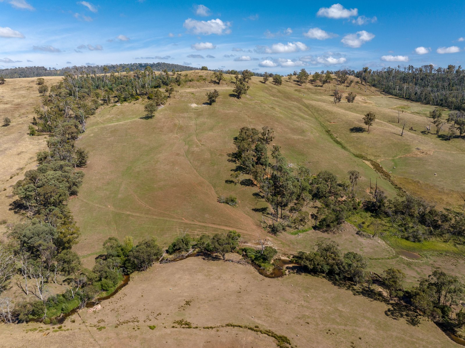 1100 Batlow Road TUMBARUMBA 22