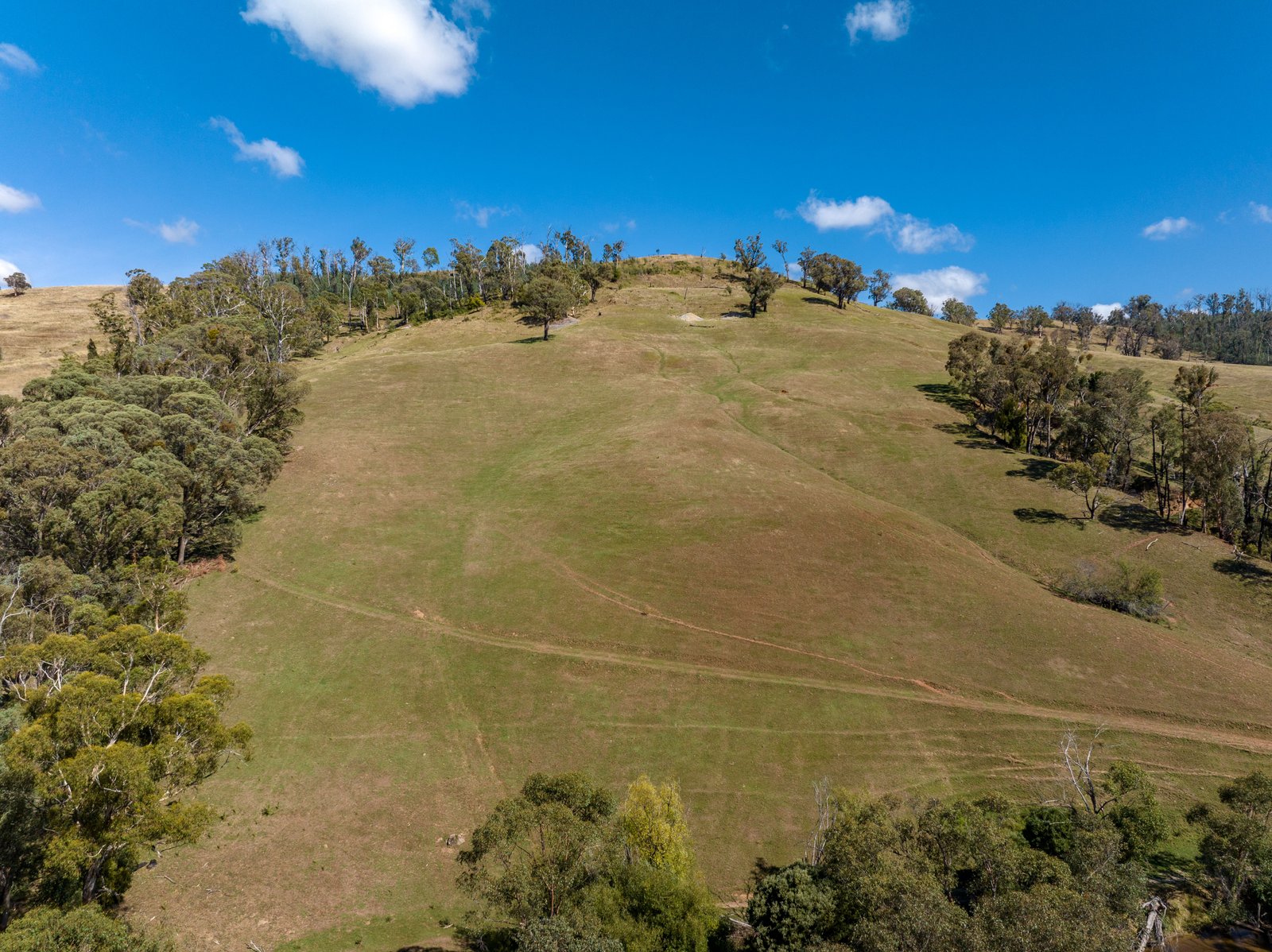 1100 Batlow Road TUMBARUMBA 23