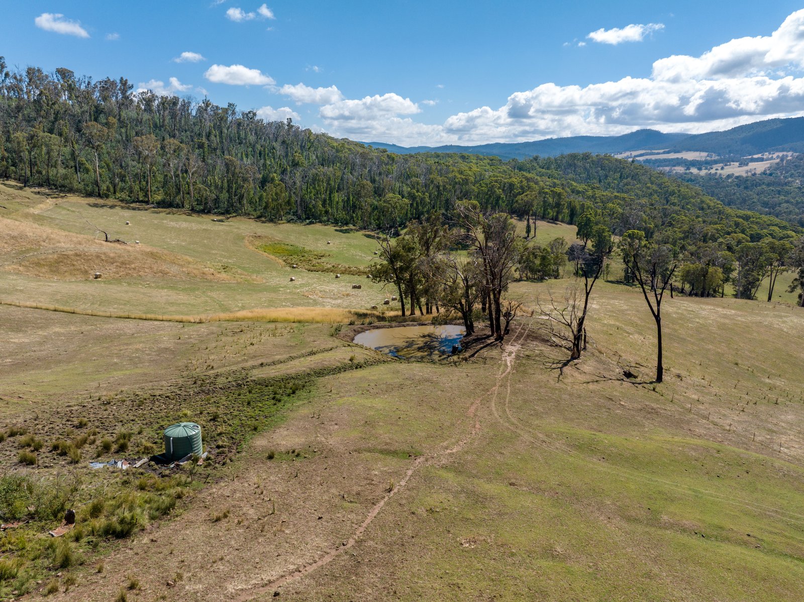 1100 Batlow Road TUMBARUMBA 24
