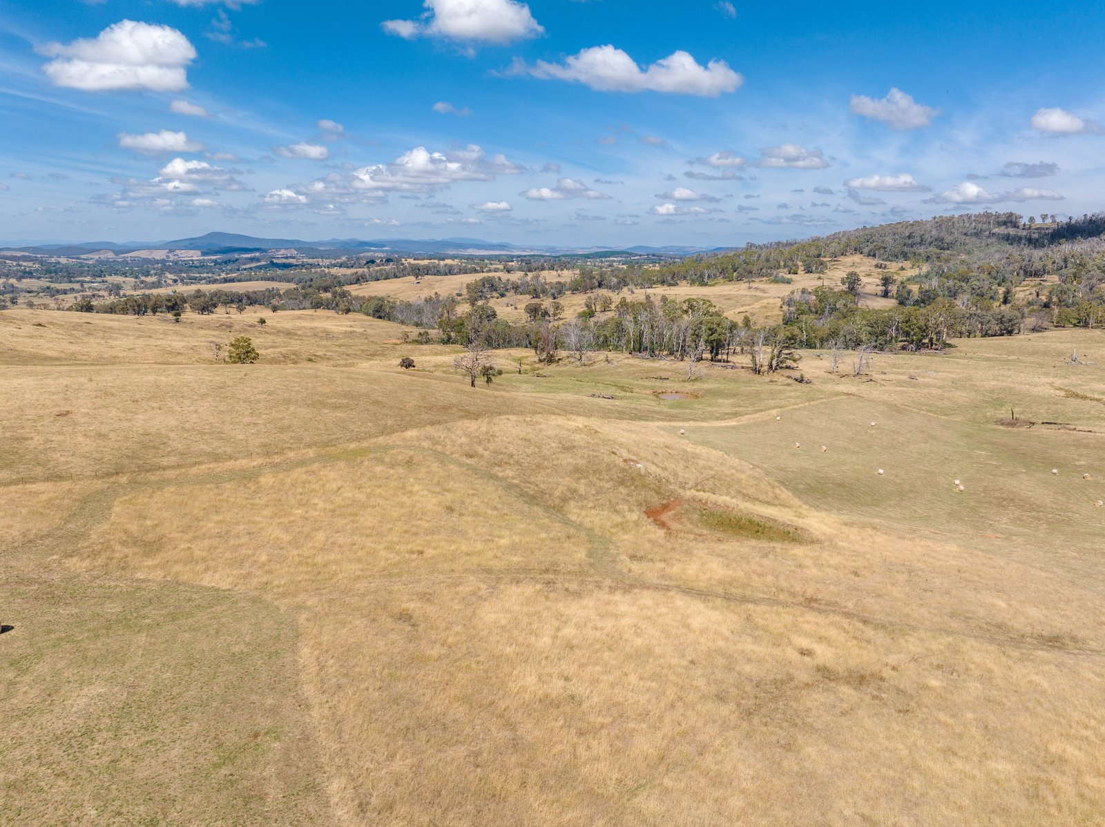 1100 Batlow Road TUMBARUMBA 25