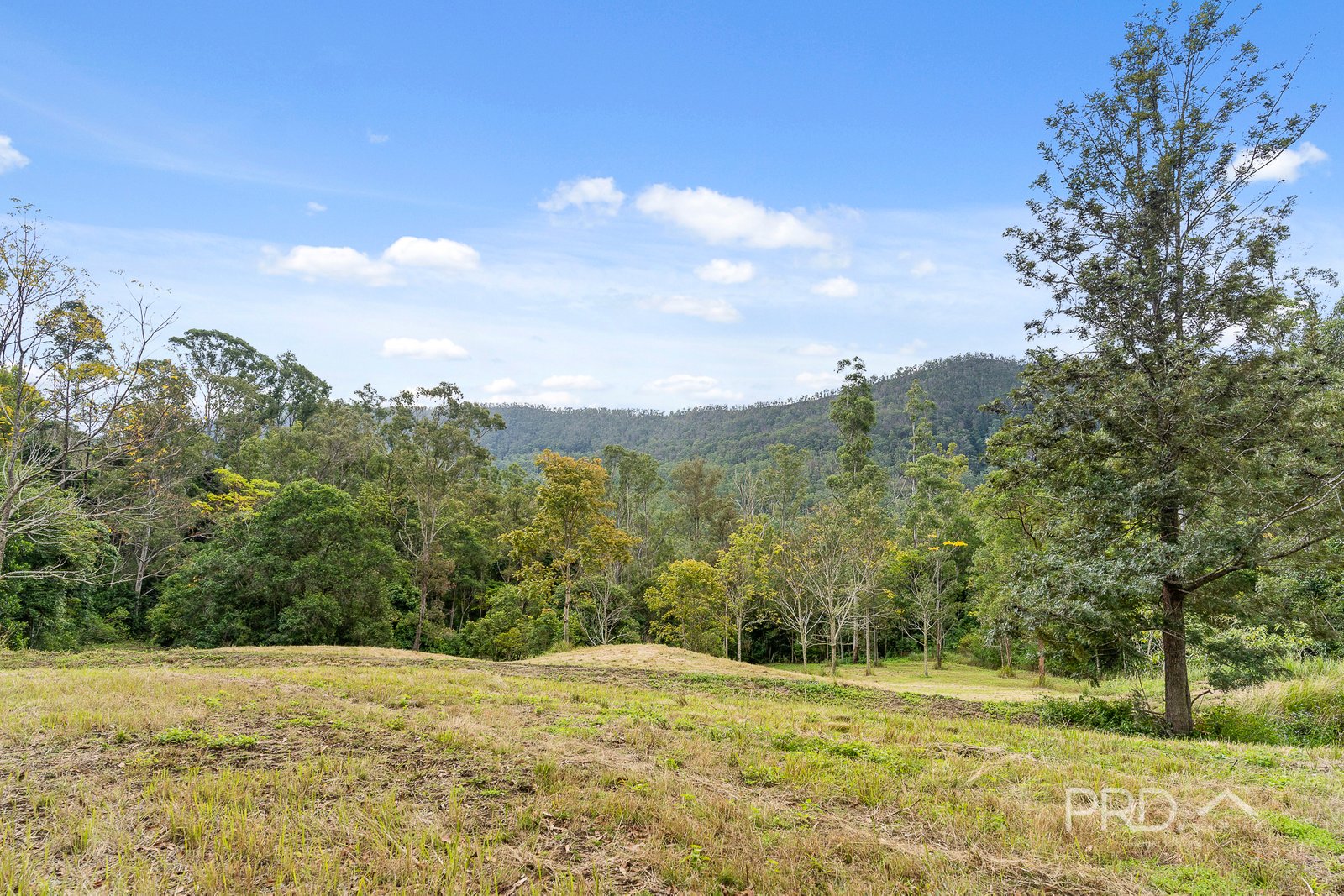 1101 Roseberry Creek Road KYOGLE 18