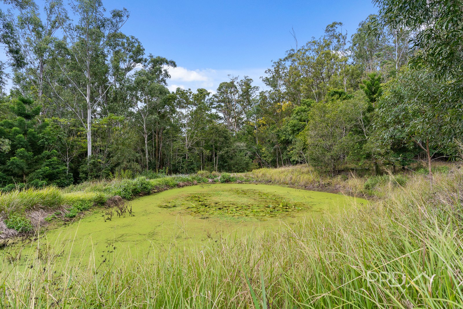 1101 Roseberry Creek Road KYOGLE 19