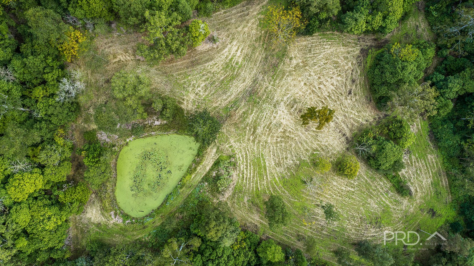1101 Roseberry Creek Road KYOGLE 22