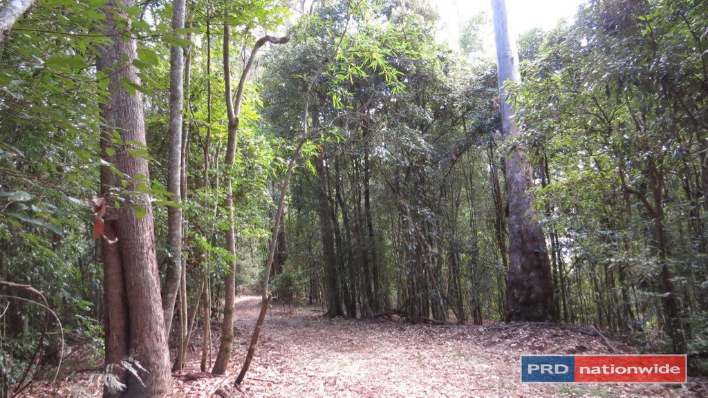 1101 Roseberry Creek Road KYOGLE 19