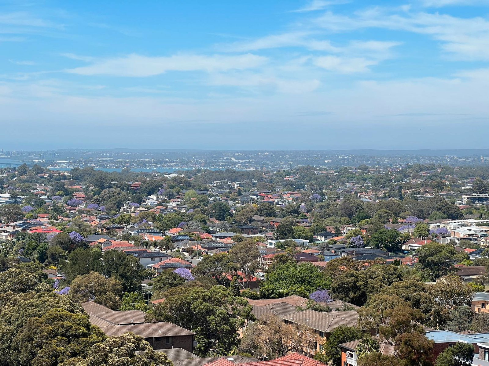 1101/31 Treacy Street HURSTVILLE 1