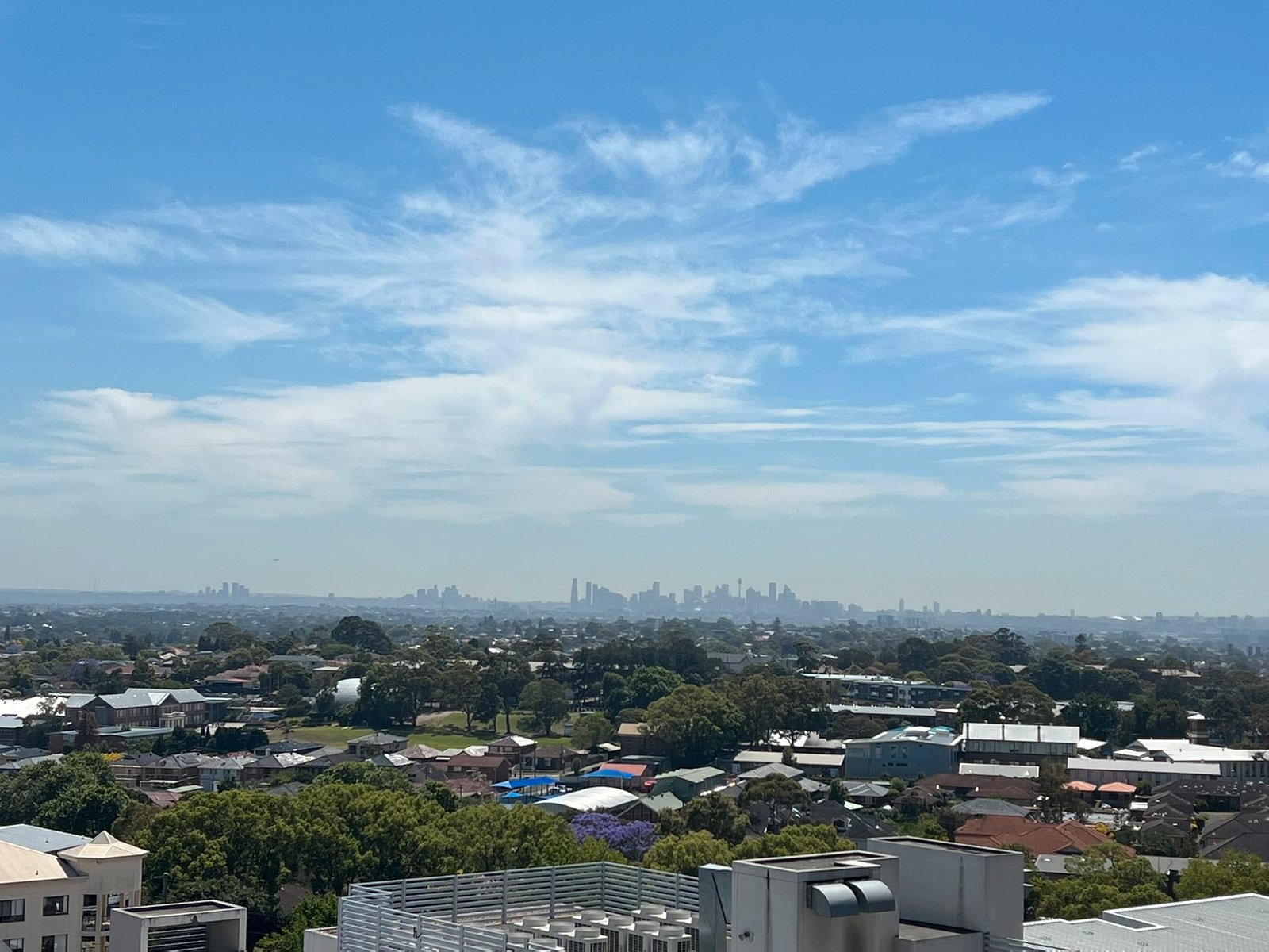 1101/31 Treacy Street HURSTVILLE 13