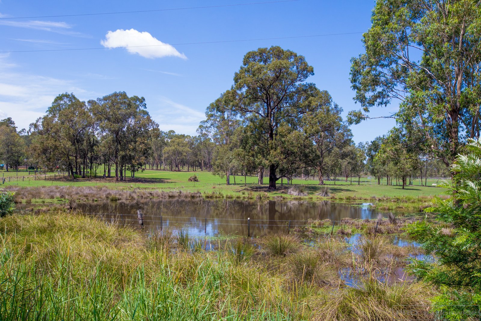 1108 Lovedale Road ALLANDALE 11