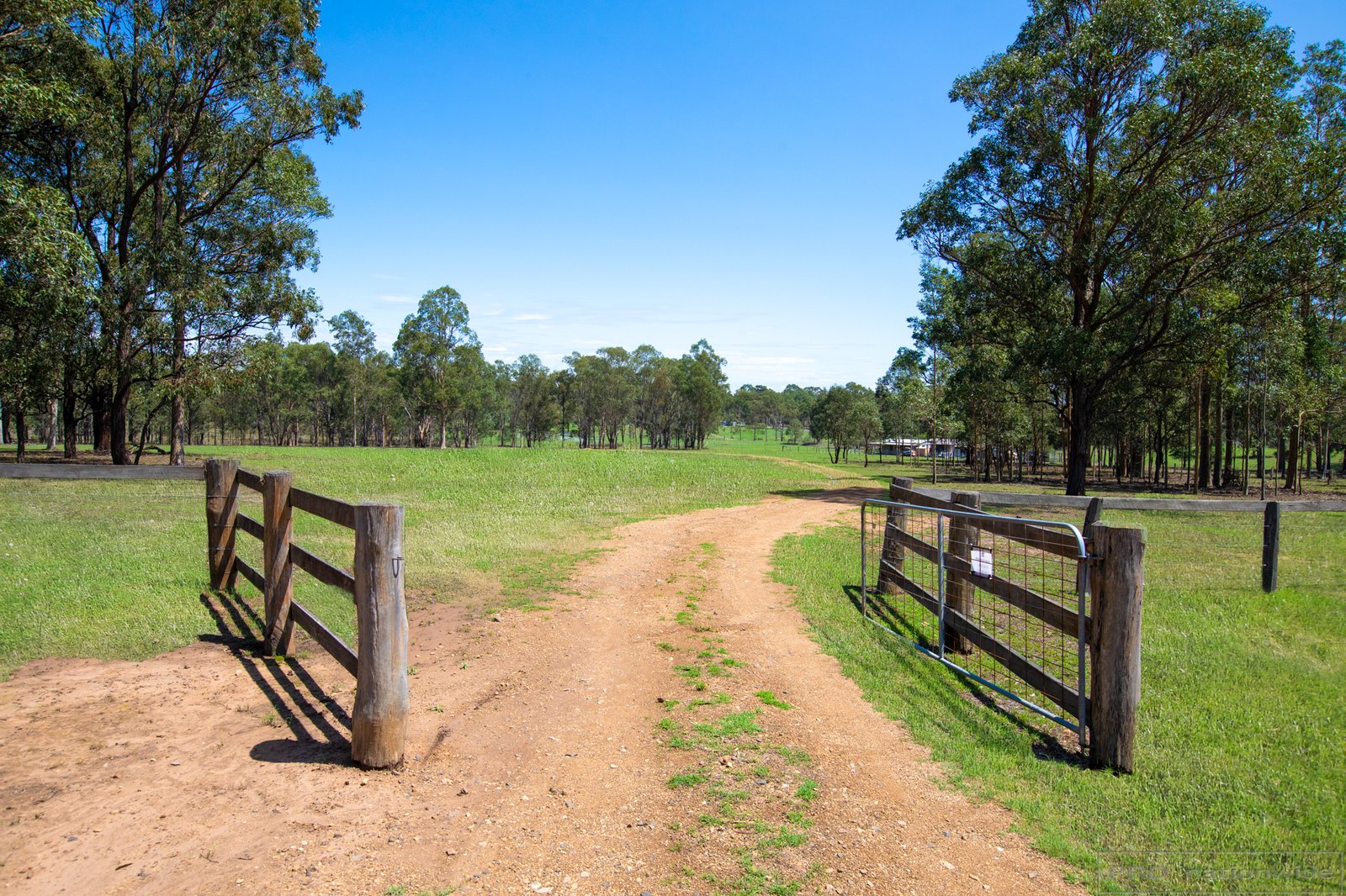 1108 Lovedale Road ALLANDALE 13