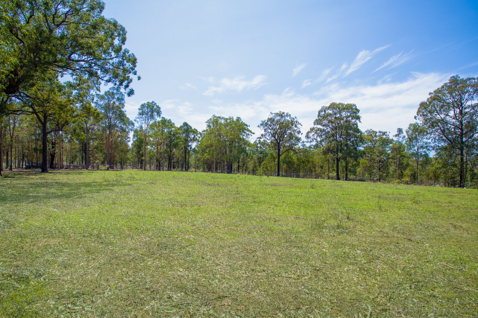 1108 Lovedale Road ALLANDALE 27