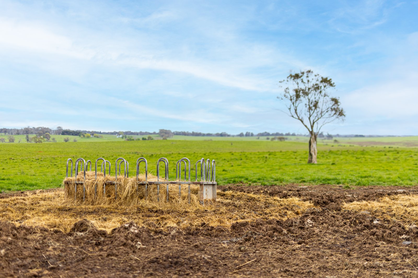 1/1086903 Wagga Road TUMBARUMBA 6