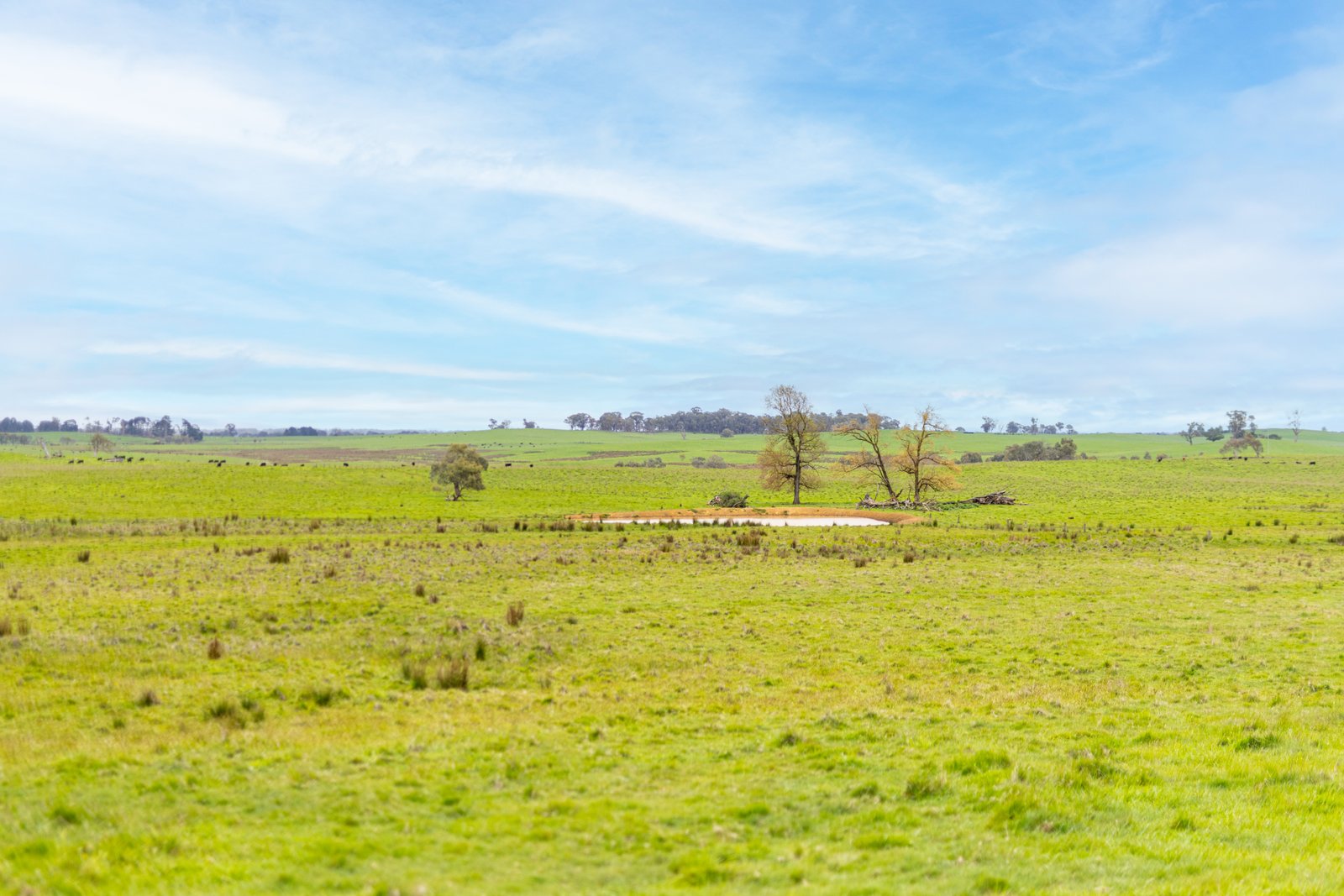 1/1086903 Wagga Road TUMBARUMBA 8