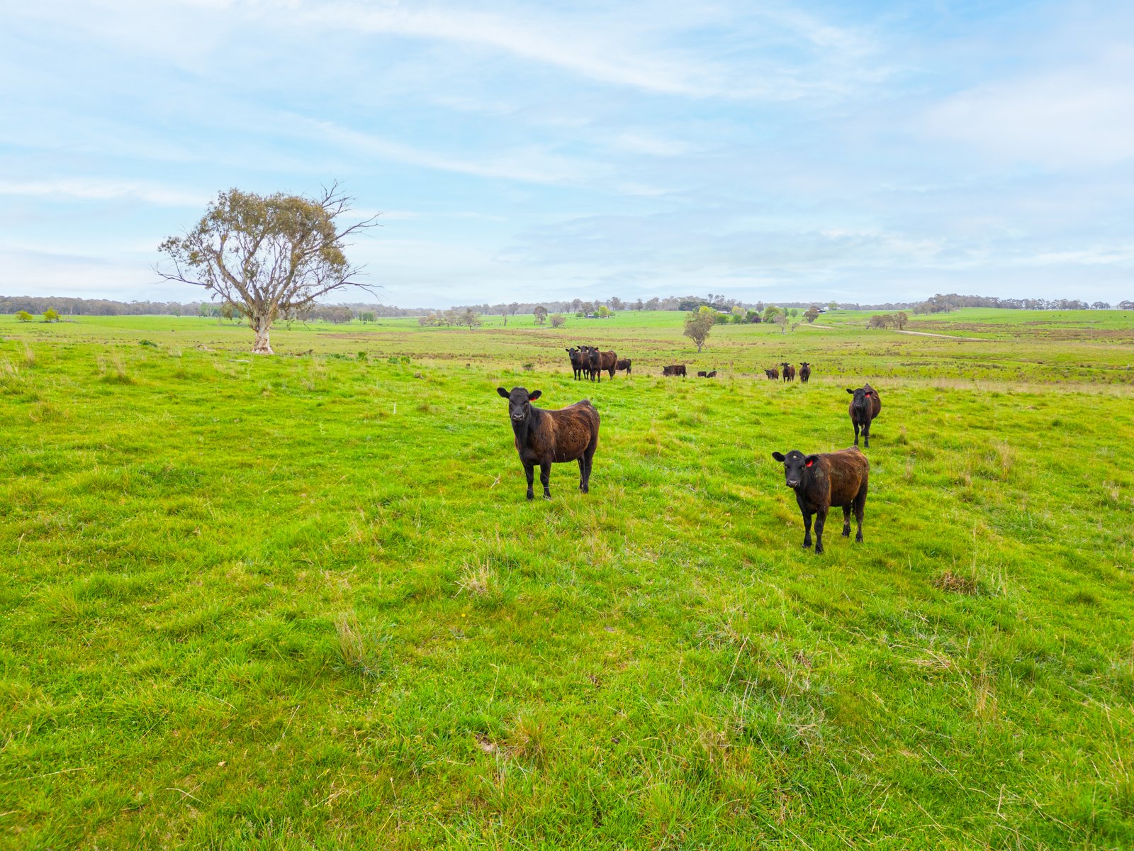 1/1086903 Wagga Road TUMBARUMBA 9