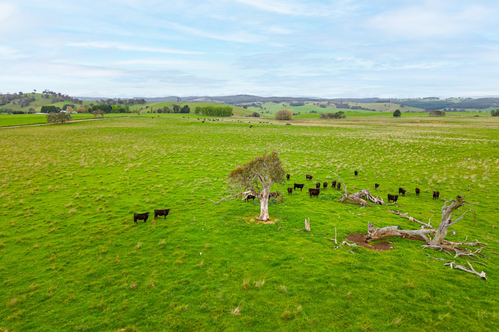 1/1086903 Wagga Road TUMBARUMBA 13