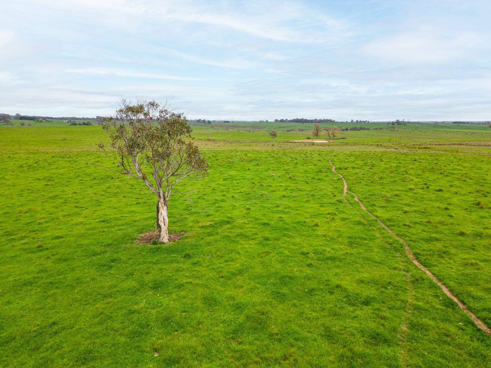 1/1086903 Wagga Road TUMBARUMBA 14