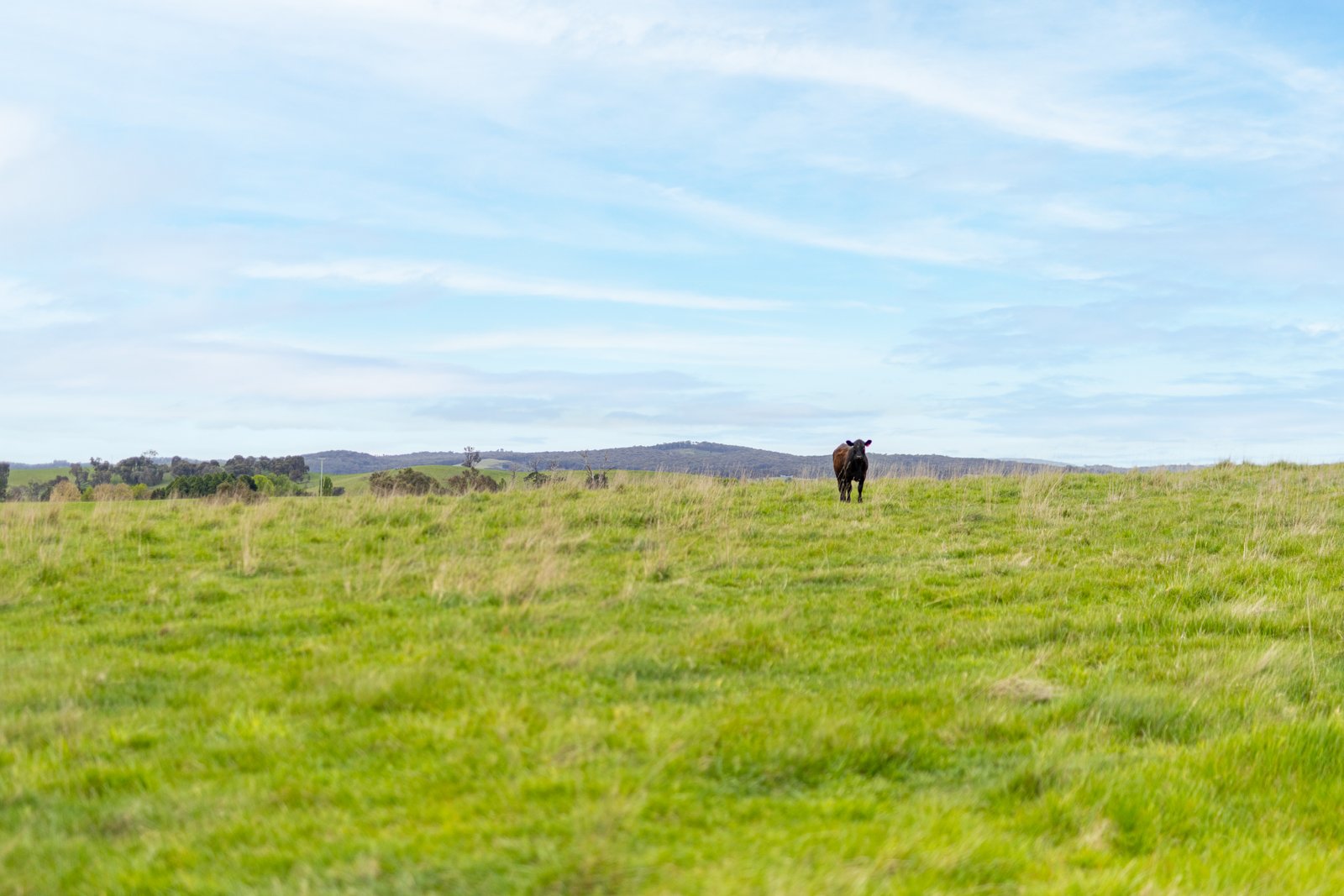 1/1086903 Wagga Road TUMBARUMBA 16