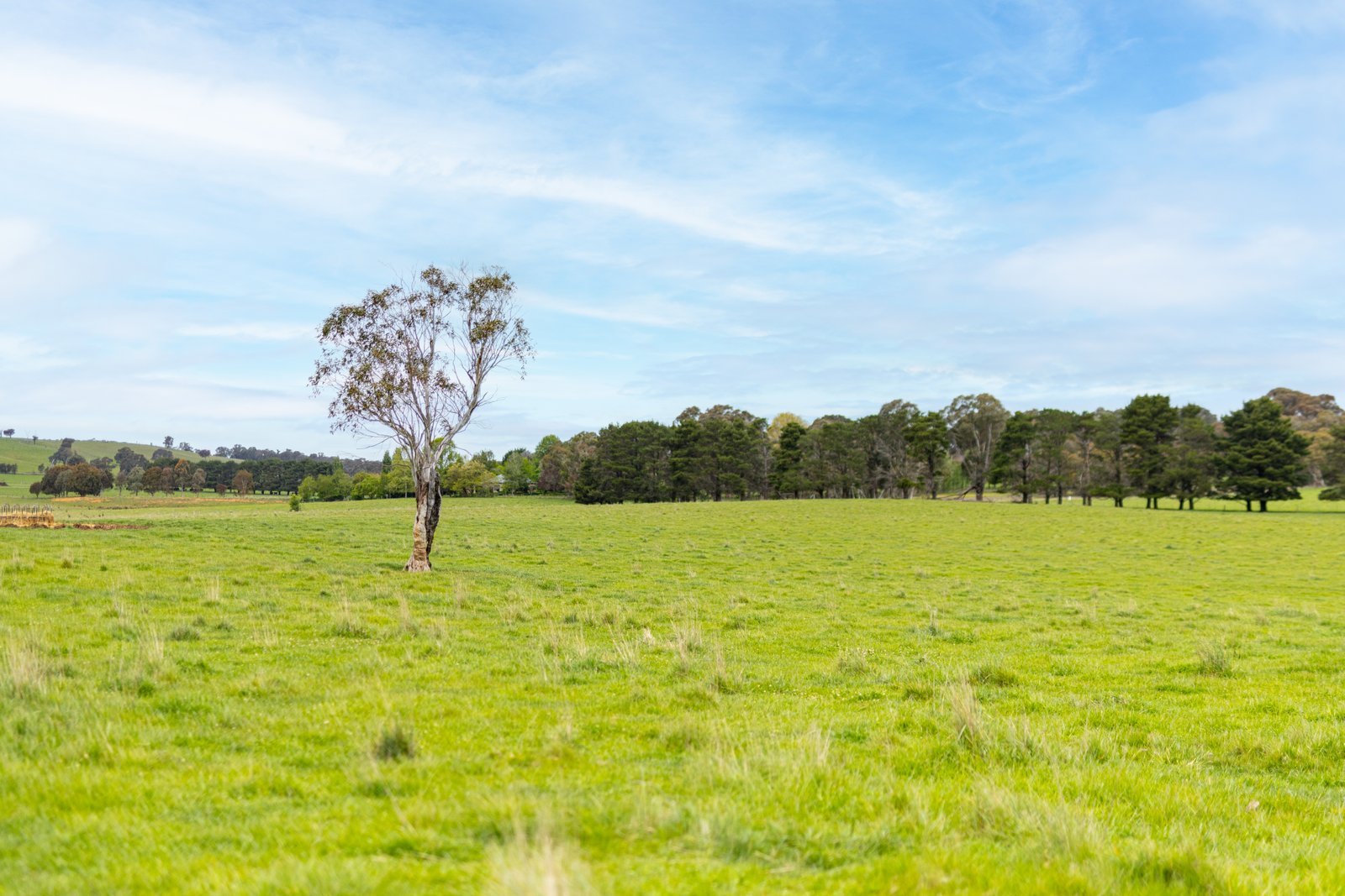 1/1086903 Wagga Road TUMBARUMBA 17