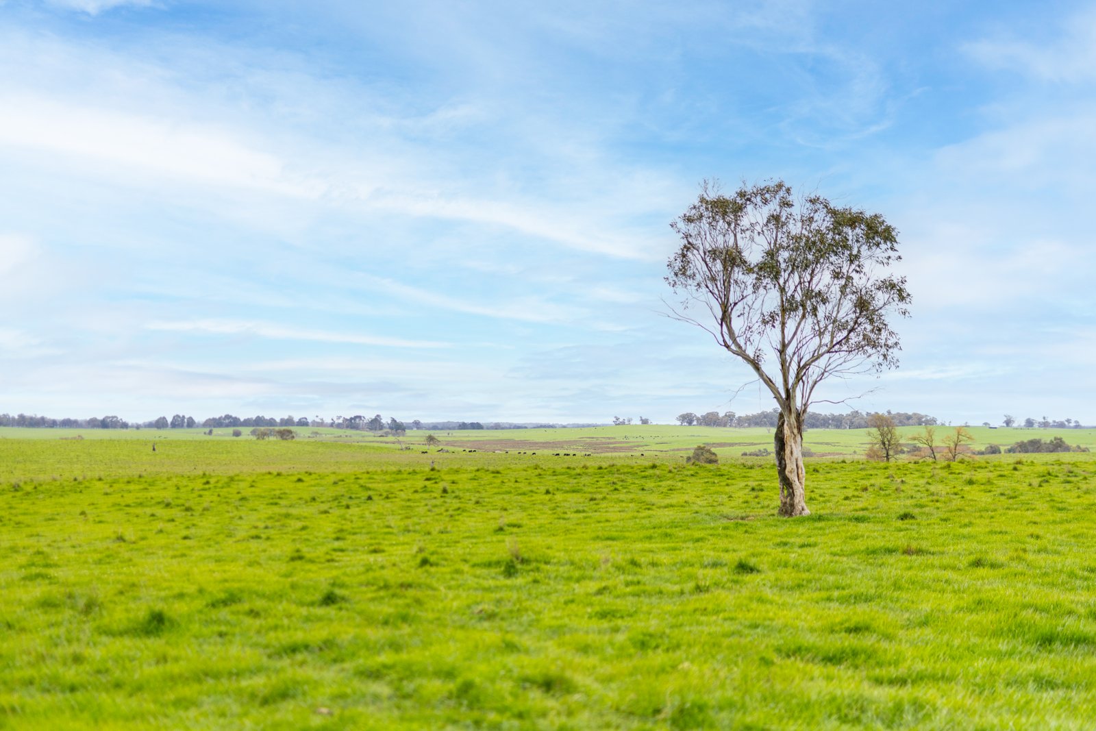 1/1086903 Wagga Road TUMBARUMBA 18