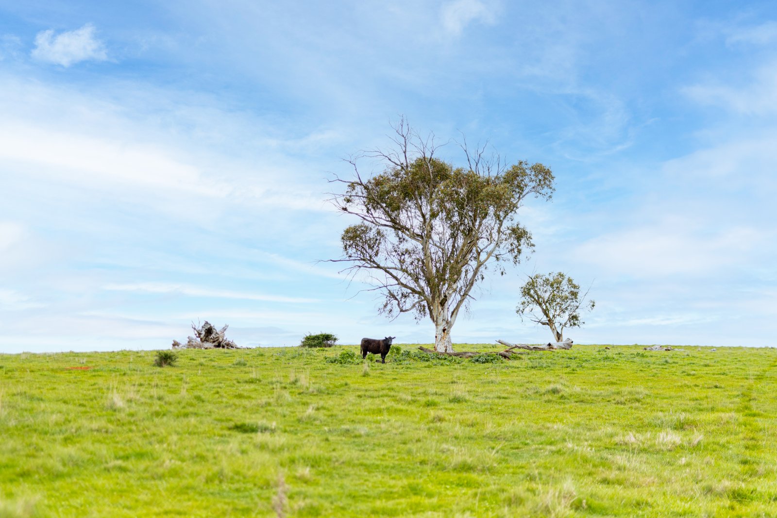 1/1086903 Wagga Road TUMBARUMBA 20